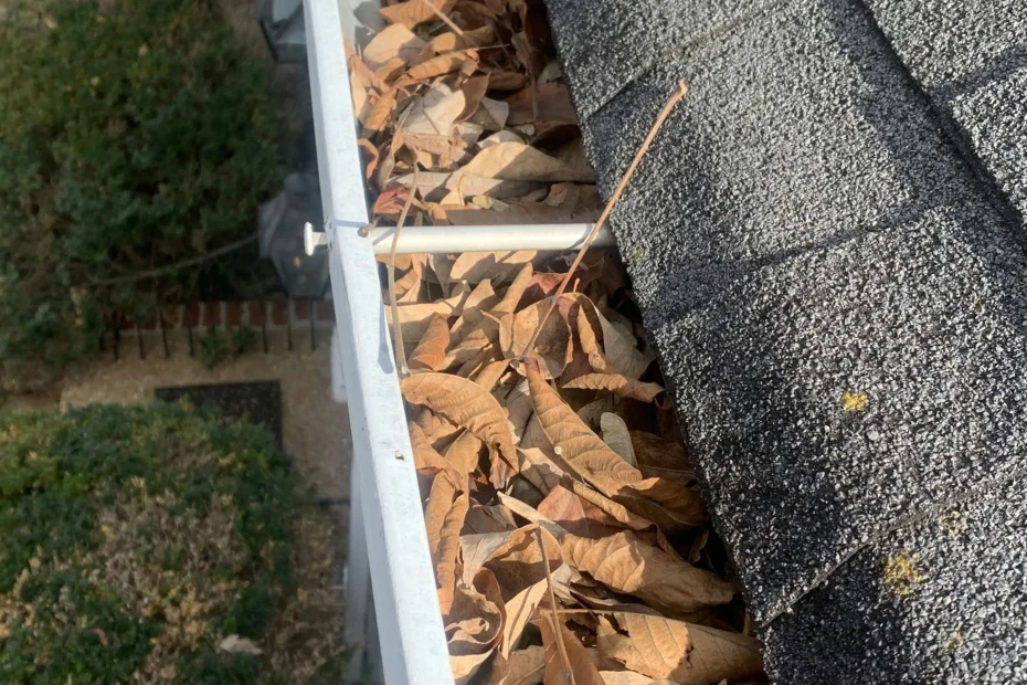 Hudsonville Gutter Cleaning